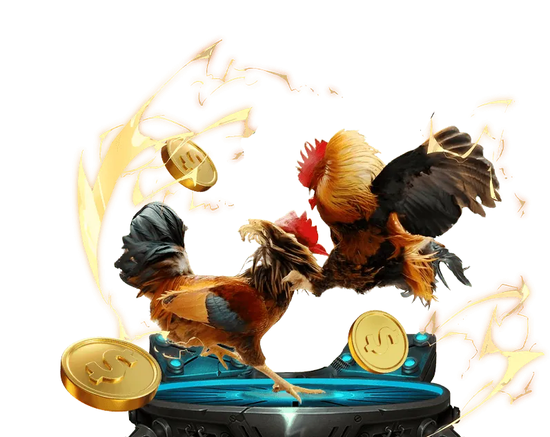 Giao diện cá cược đá gà của z8bet